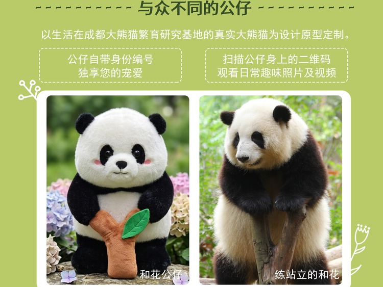 与众不同的公仔